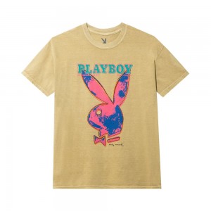 Pánské T-shirt Playboy January 1986 Andy Warhol Cover Hnědé | PLBY-593160