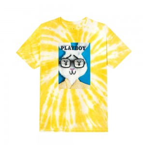 Pánské T-shirt Playboy June 1967 Cover Tie-Dye | PLBY-593254